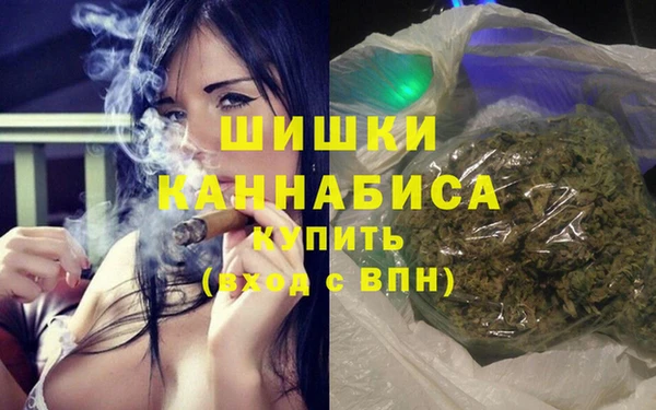 мдпв Фёдоровский