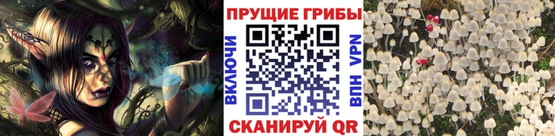 Псилоцибиновые грибы MAGIC MUSHROOMS  Купить где  Когалым 